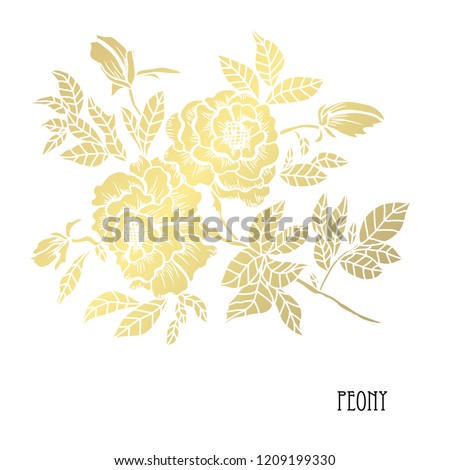 Decorative peony flowers, design elements. Can be used for cards, invitations, banners, posters, print design. Golden flowers