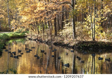 Autumn landscape in Sokolniki park in Moscow, Russia