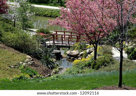 A picture of a bridge at a japanese garden in the spring
