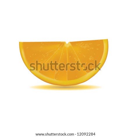 vector of orange slice