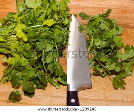 Color DSLR picture of leafy green chopped cilantro (coriander) on a cutting board with a stainless steel and black sharp chef knife.  Healthy organic ingredients. Horizontal orientation.