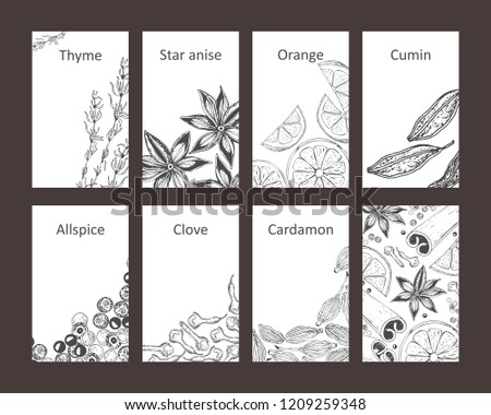 Set of cards with spices. Hand-drawn thyme, anise, cumin, allspice, cardamom, cinnamon, cloves, orange. Vector illustration. Isolated.