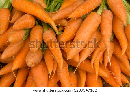 lots of orange carrots with green leaves on the counter