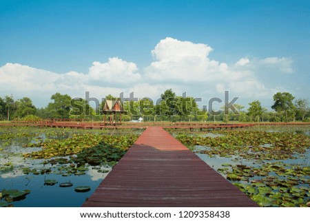 Wooden bridge and Thai pavilion,Bridge and the Lotus Garden in Sakon Nakhon,The wooden bridge and the water hall in the lotus park, Thailand