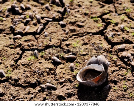 The ground under the lake in the hot weather was made the water in the lake was dry and cause to the shell and small living thing were dead.