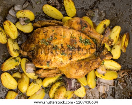 Roasted Chicken with Onion and Thyme 