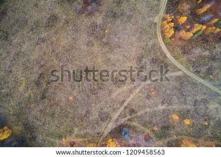 Autumn forest with a road. High-altitude shooting from a drone..