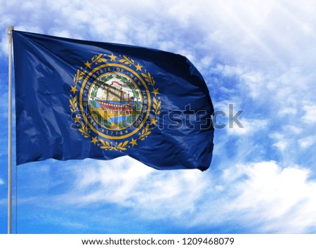 flag State of New Hampshire on a flagpole