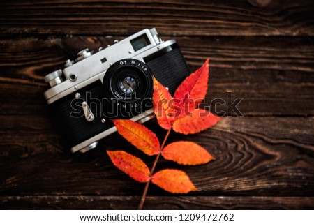 Old vintage camera and autumn leaves