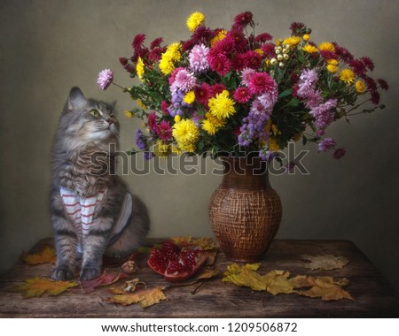Still life with a bouquet of autumn flowers and curious kitty