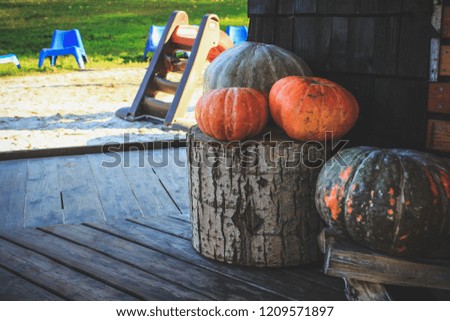 On the eve of Halloween, pumpkins near the house are decorated with pumpkins.
The wooden terrace of the house is decorated with pumpkins on the eve of Halloween in this autumn season.
