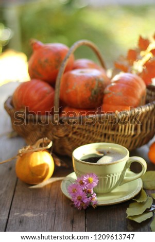 Vintage basket with orange pumpkins and coffee in a light green Cup