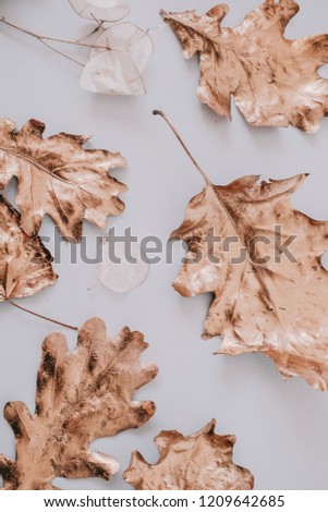 Autumn rose gold colored leaves, creative flatlay on white background. 