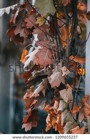 Fall leaves outdoor decor ideas. Toned image