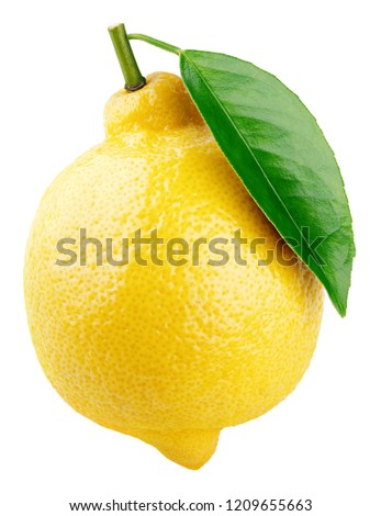 Ripe whole yellow lemon citrus fruit with green leaf isolated on white background. With clipping path. Full depth of field.