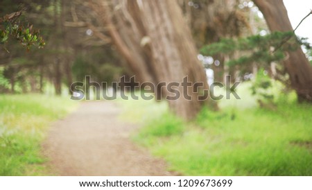 Blurred  background of empty footpath in the woods for compositing