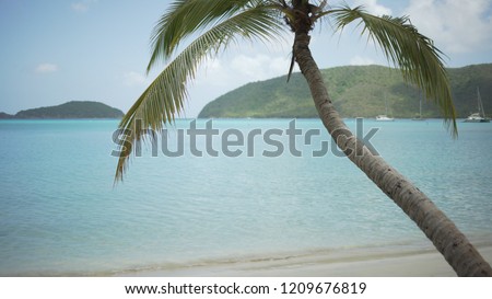 Background Plate of Palm tree over blue waters in a Caribbean ocean
