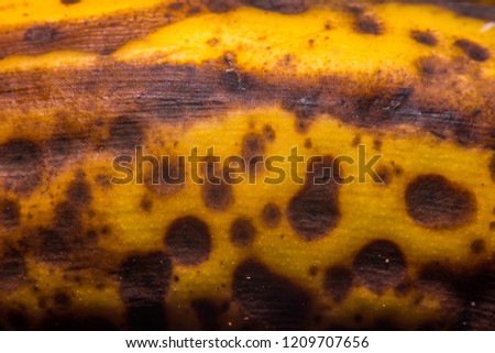 The skin of a well ripened banana