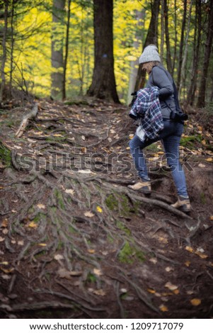 person hiking in woods in Porcupine Mountain State Park in Autumn