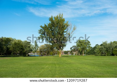 Tree in a park Royalty-Free Stock Photo #1209719287