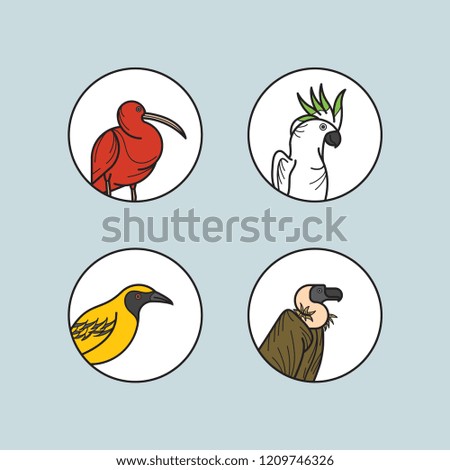 Illustration Bird Collection 
