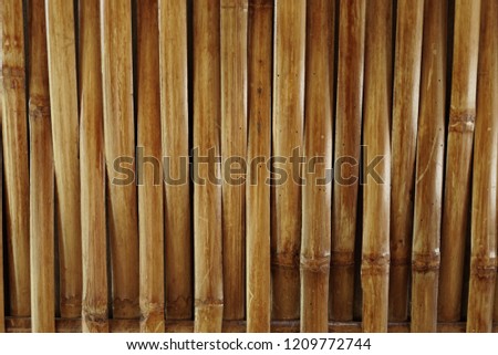 Texture of bamboo brown color