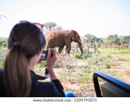 Girl on Safari taking photos of an Elephant in South Africa