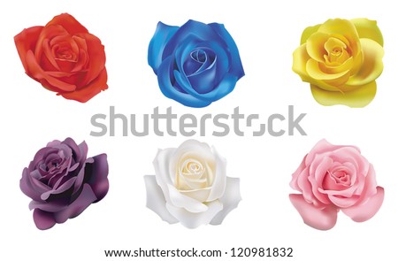 6 red yellow blue pink white purple realistic color roses flower flora icon collection set in isolated background, create by vector Royalty-Free Stock Photo #120981832