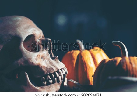 The Halloween background for party and business 