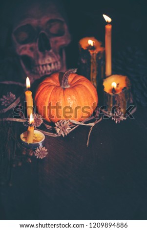 The Halloween background for party and business 