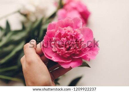 hand holding lovely pink peony and peonies on rustic old white wooden window in light, space for text. top view. floral greeting card. rural country image. shabby chic concept