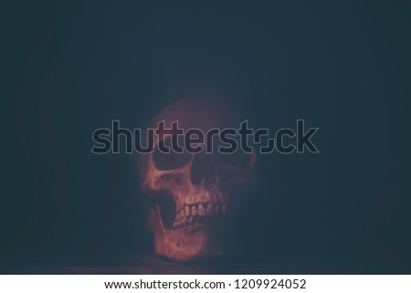The skull background use for Halloween  party and business
