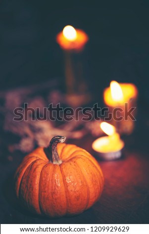 The Halloween background and decoration use for party and business