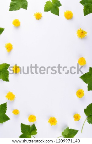 
Green leaves and yellow flowers on white background with round copy space in the center