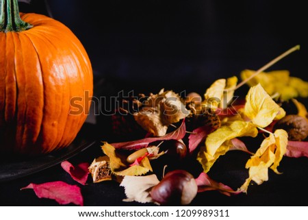 Autumn  pumpkin decoration
