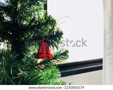 Decorate pine trees with red balls
