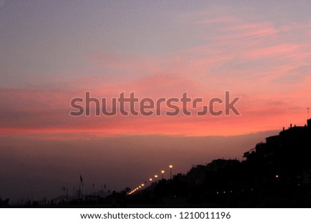 silhouette of flowers in sunset
