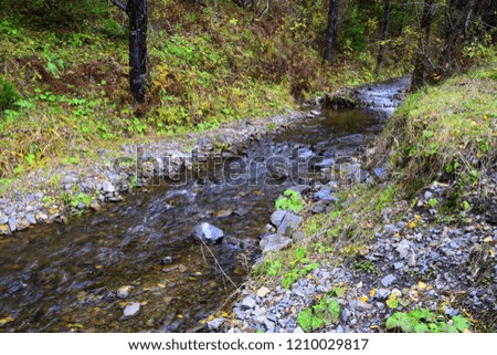 Mountain stream flowing down from the mountains to Teletskoye Lake. The picture was taken on an autumn day, with natural light.
