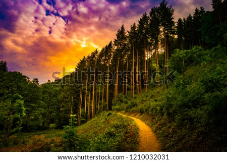 Beautiful landscape with pathway in the mountains forest at sunset. Hiking path in breathtaking panoramic view, inspirational summer landscape in forest. Walking footpath or biking path, dirt road.