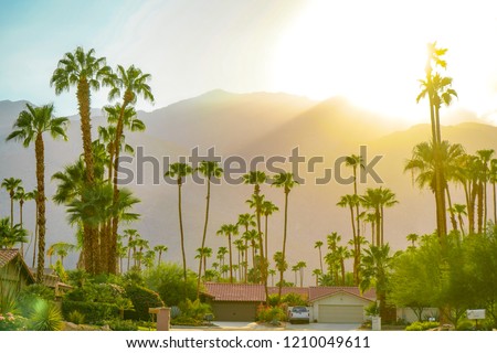 Palm Springs sunset day with mountains and palm trees. Beautiful view of Hollywood hills. Royalty-Free Stock Photo #1210049611