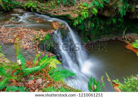 Autumn Waterfall and stream