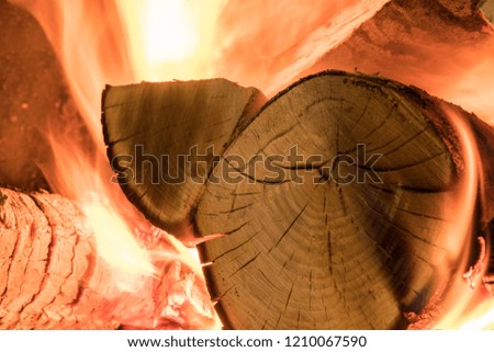 Beautiful and warm fire in the fireplace