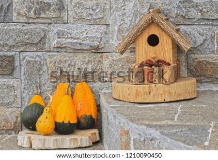 Group of colorful pumpkins near a stone wall next to a wooden bird house