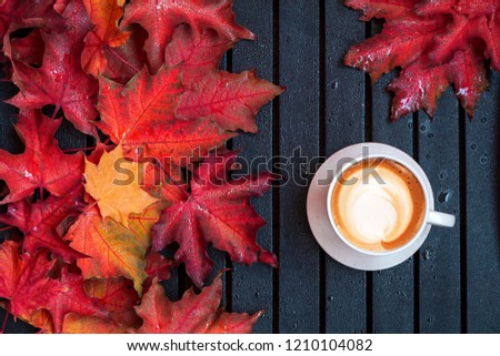 Cappuccino caffee cup on a cool autumn morning