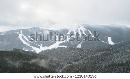 Aerial view of a forest in the mountains covered with snow.