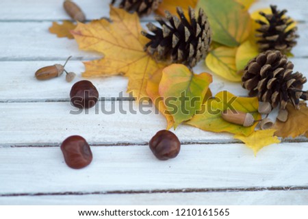 
yellow leaves with cones, chestnuts and acorns on a white wooden background in rustic style with place for text