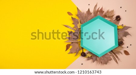 Creative Autumn layout. Green hexagonal tray on dried leaves, chestnuts and other elements on yellow and ocher background. Flat lay top view. Copy space.