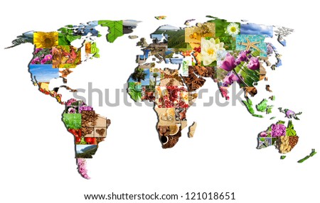 map of the world of the many photographs on a white background
