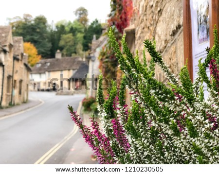 View of Castle Combe village with flower in foreground