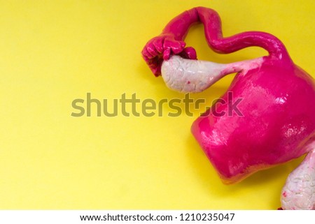 Anatomical model of uterus with ovaries on yellow uniform background view from above with the clear area of half photo for labels, headers. Concept photo for diagnosis, treatment, symptoms 
